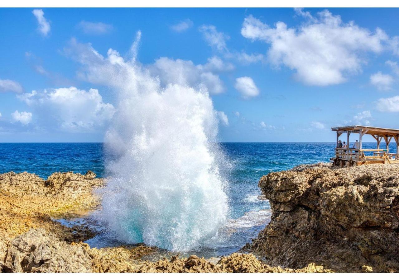Piscadera Bay Resort 24 Willemstad Dış mekan fotoğraf