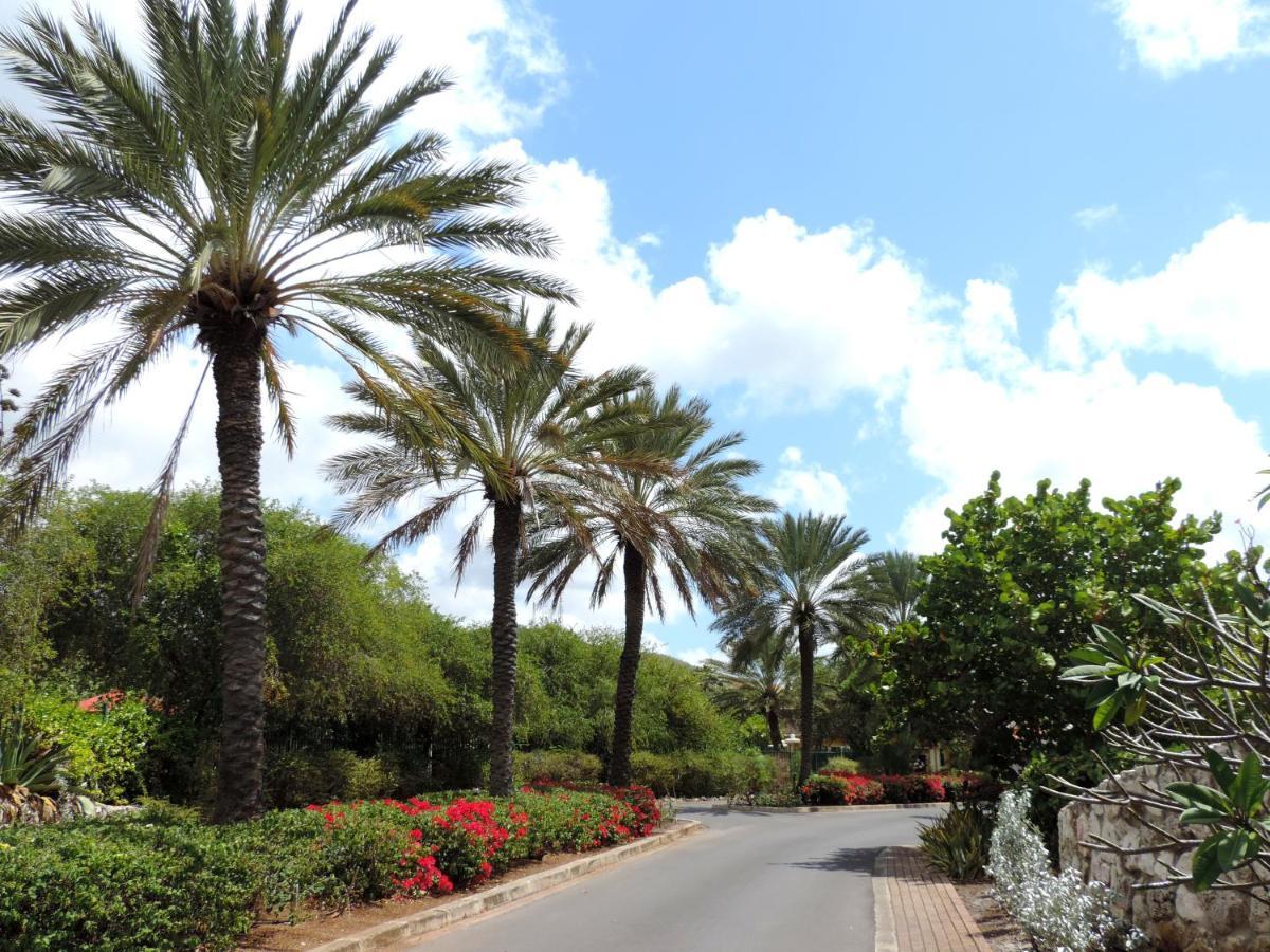 Piscadera Bay Resort 24 Willemstad Dış mekan fotoğraf